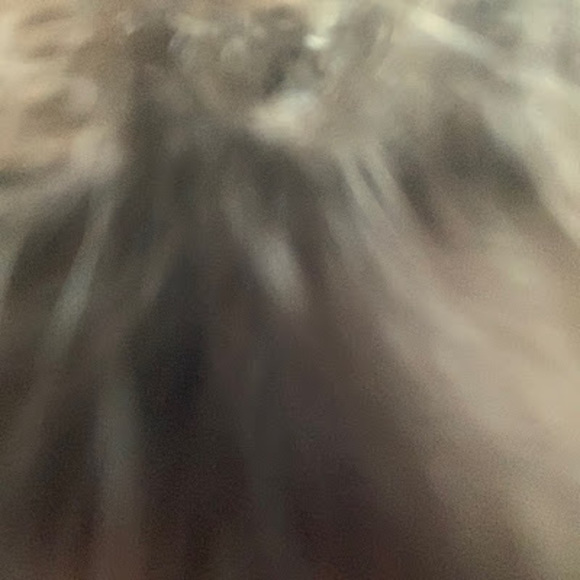 Meet your Posher, Ermia - Picture 1 of 1